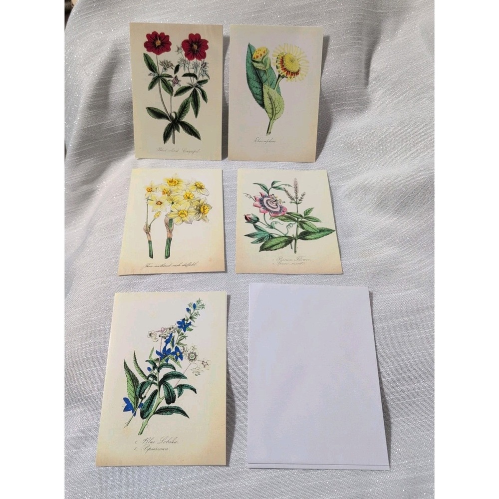 Sierra Club Botanical Note Cards Flowers Vintage Style Nature Art Set Of 5